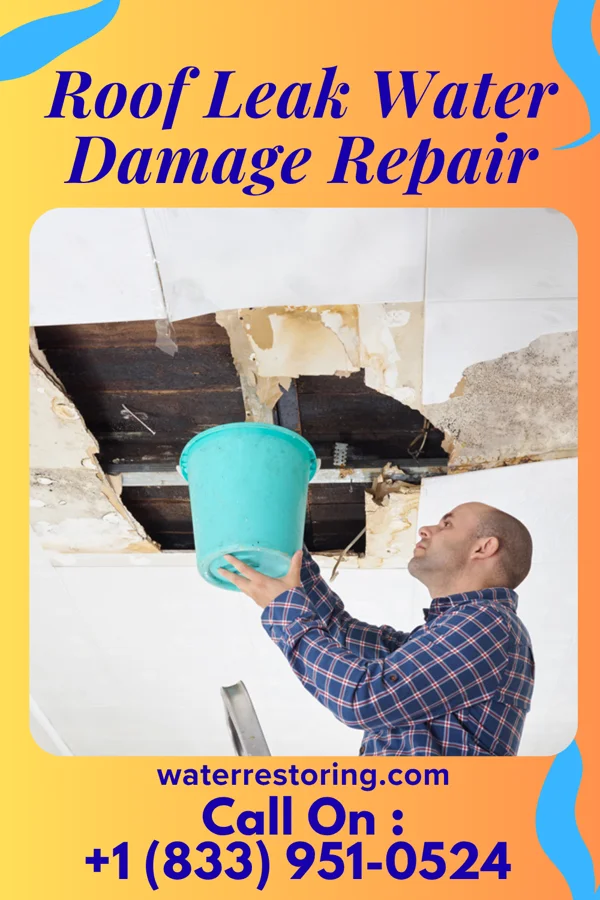 Roof Leak Water Damage Repair in New Deal, TN