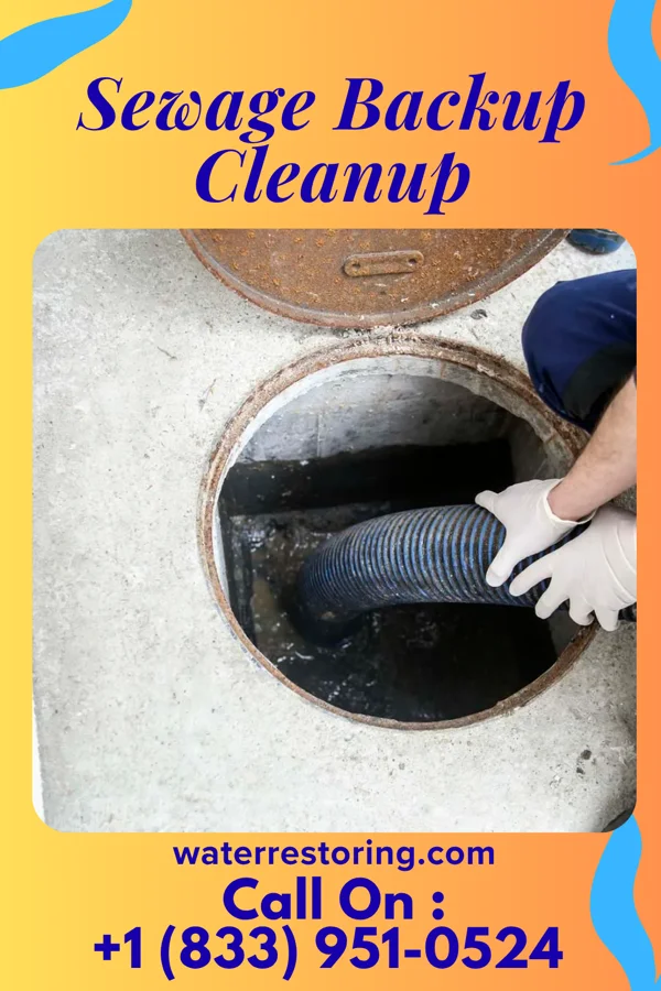 Sewage Backup Cleanup in New Deal, TN